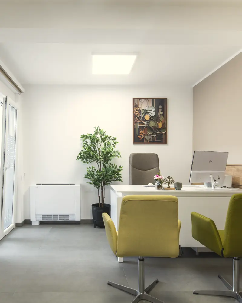 A bright office with a desk, two chairs and a tall plant